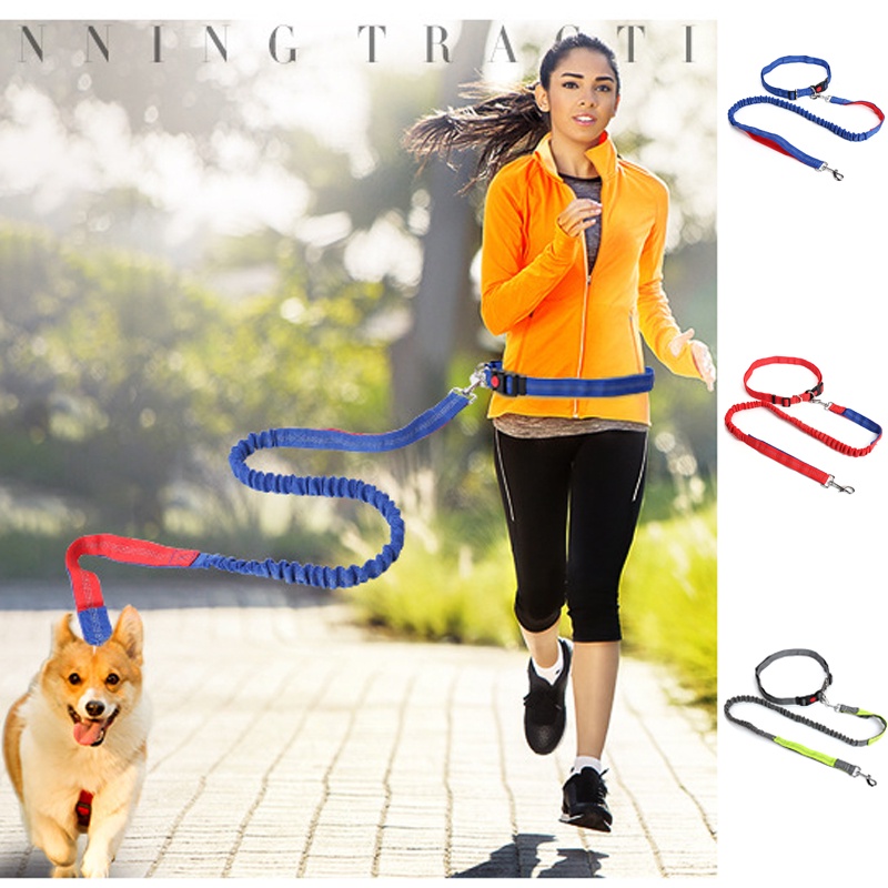 Tali Tuntun Anjing Adjustable Untuk Jogging / Hiking / Jalan-Jalan / Lari