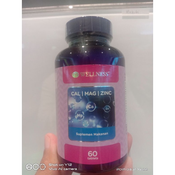 Wellness Cal/Mag/Zinc