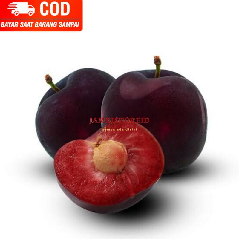 

(JAMBISTOREID) PILIH PENGIRIMAN INSTAN Buah Plum Segar Fresh 500gram Obat Diet Natural Alami New Baru Jambi