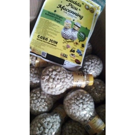 Bedda pica macenning