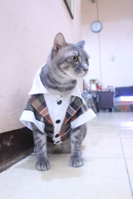 Tuxedo tanpa dasi motif kotak-kotak coklat lucu untuk kucing &amp; anjing / baju kucing murah size S-XL