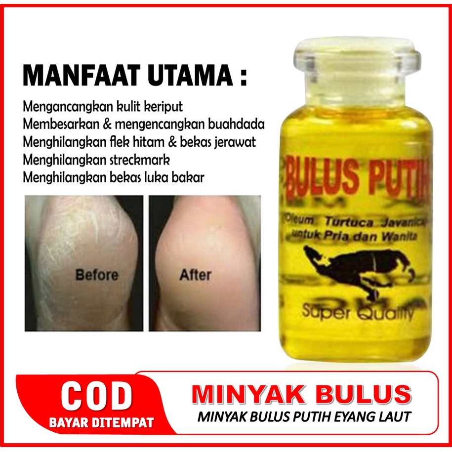 PEMBESAR PAYUDARA AMPUH PERMANEN SEXY BOOBS PENGENCANG PAYUDARA THAILAND PEMUTIH PUTING PAYUDARA / B