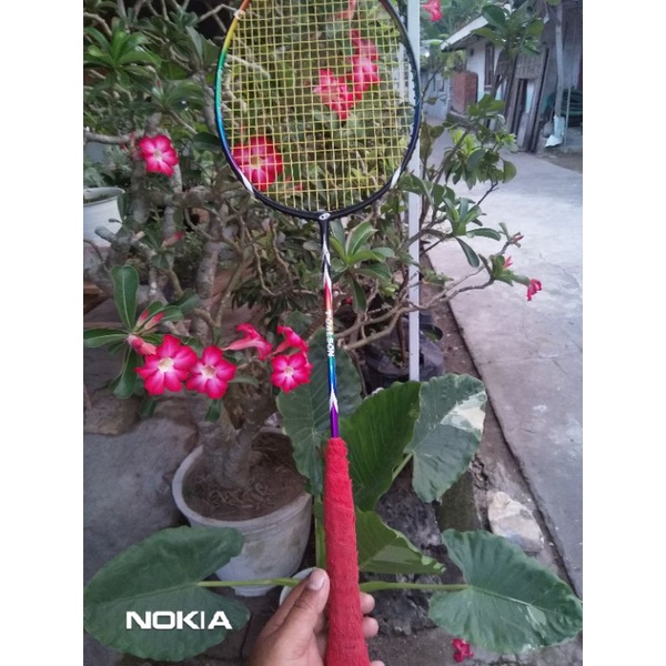 raket toalson rainbow