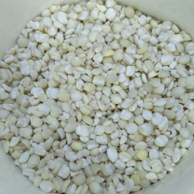 

Barley Aceh /Jali Aceh Super 500gr