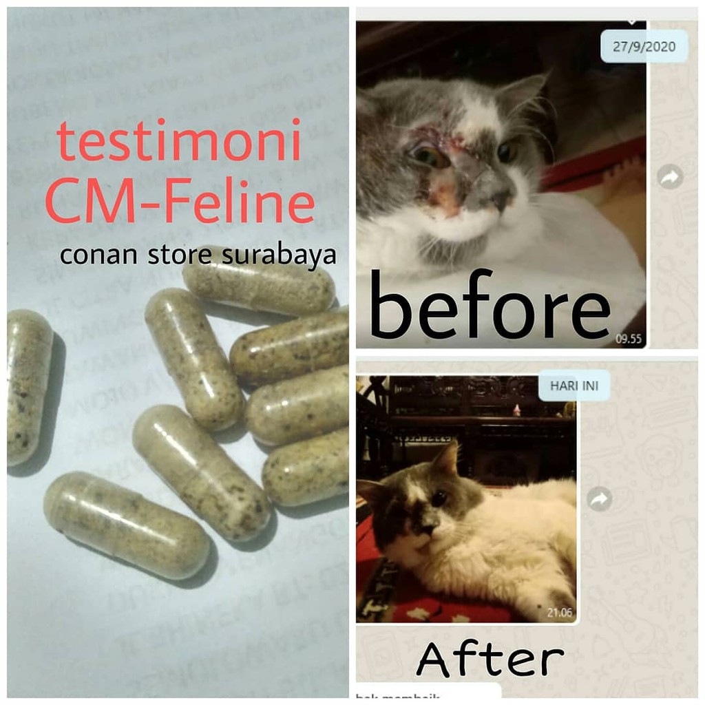CM-Feline Supplement Virus Calici Kucing Kapsul