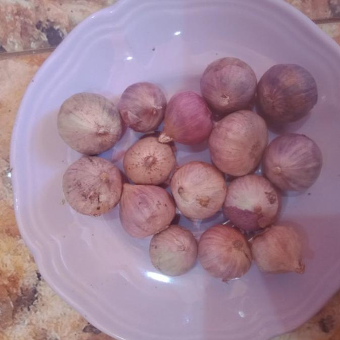 

Big Sale bawang putih tunggal 1 kg Big Sale