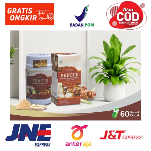 

herbal KENCUR original tazakka 60 kapsul/ botol mengobati flek paru paru batuk asma sesak napas.resmi BPOM jaminan ORIGINAL