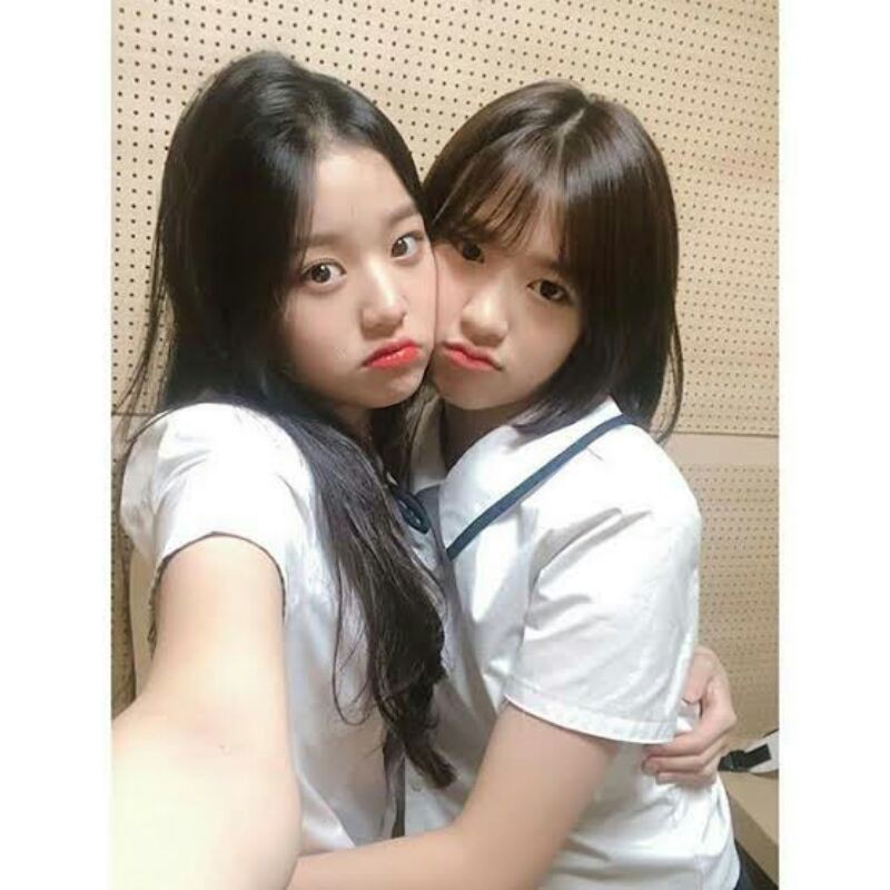 (BOOKED) ID PHOTO SECRET DIARY YUJIN WONYOUNG