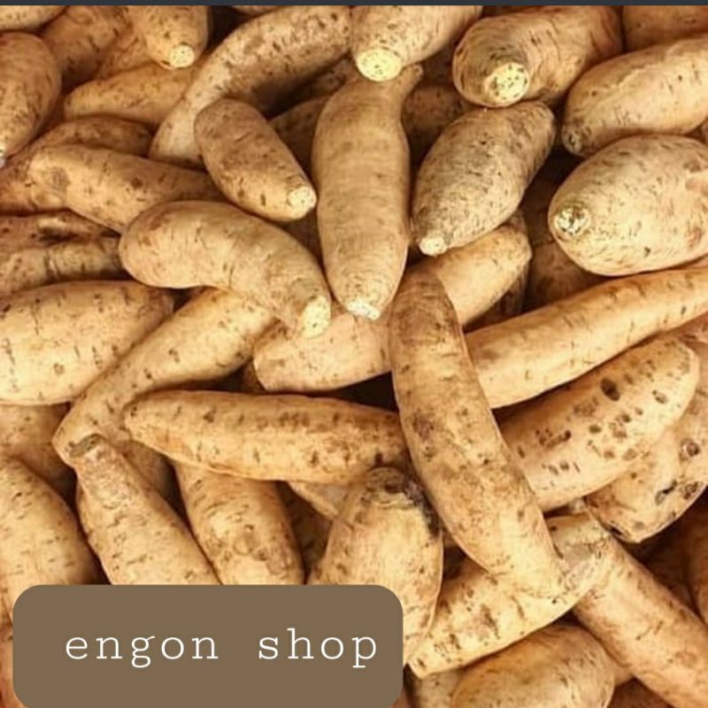 

MURAH Ubi cilembu/ ubi celembu kualitas premium 1kg