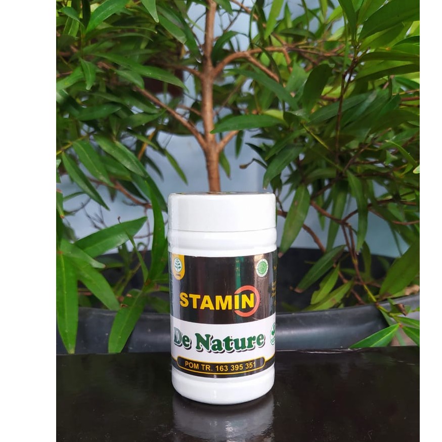 OBAT PENAMBAH HORMON DAN MENGATASI EJAKULASI DINI ASLI HERBAL ALAMI