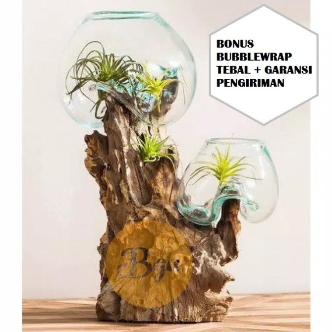 double pot kaca tiup vas bunga kaca aquascape aquarium cupang