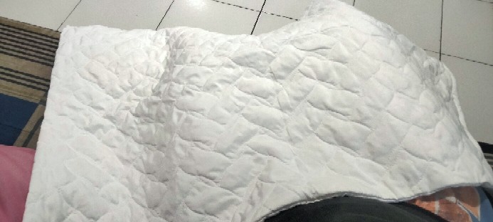 Bolster Protector (standar/kingkoil)