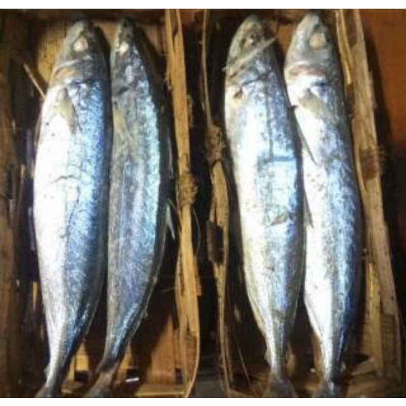 

ikan cue/pindang