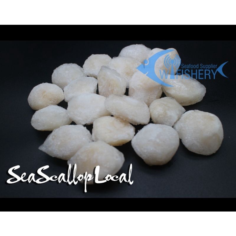 

Daging Kerang Scallop Frozen Local - 500 gram