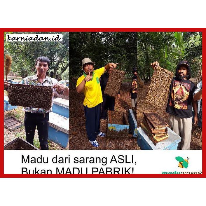 

MADU-MINUMAN- MADU ASLI + PROPOLIS 0.3 KG (HIGH QUALITY HONEY AND PROPOLIS) -ASLI-BUKAN-KAWE-KAWE-