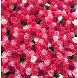 NEW ARRIVAL DECORATION WEDDING WALL 3D FLOWER ROLL WALL GORDYN PANEL DECORATION FOR WEDDING PARTY