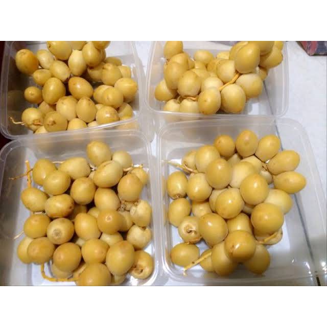

Kurma Muda 1 Kg