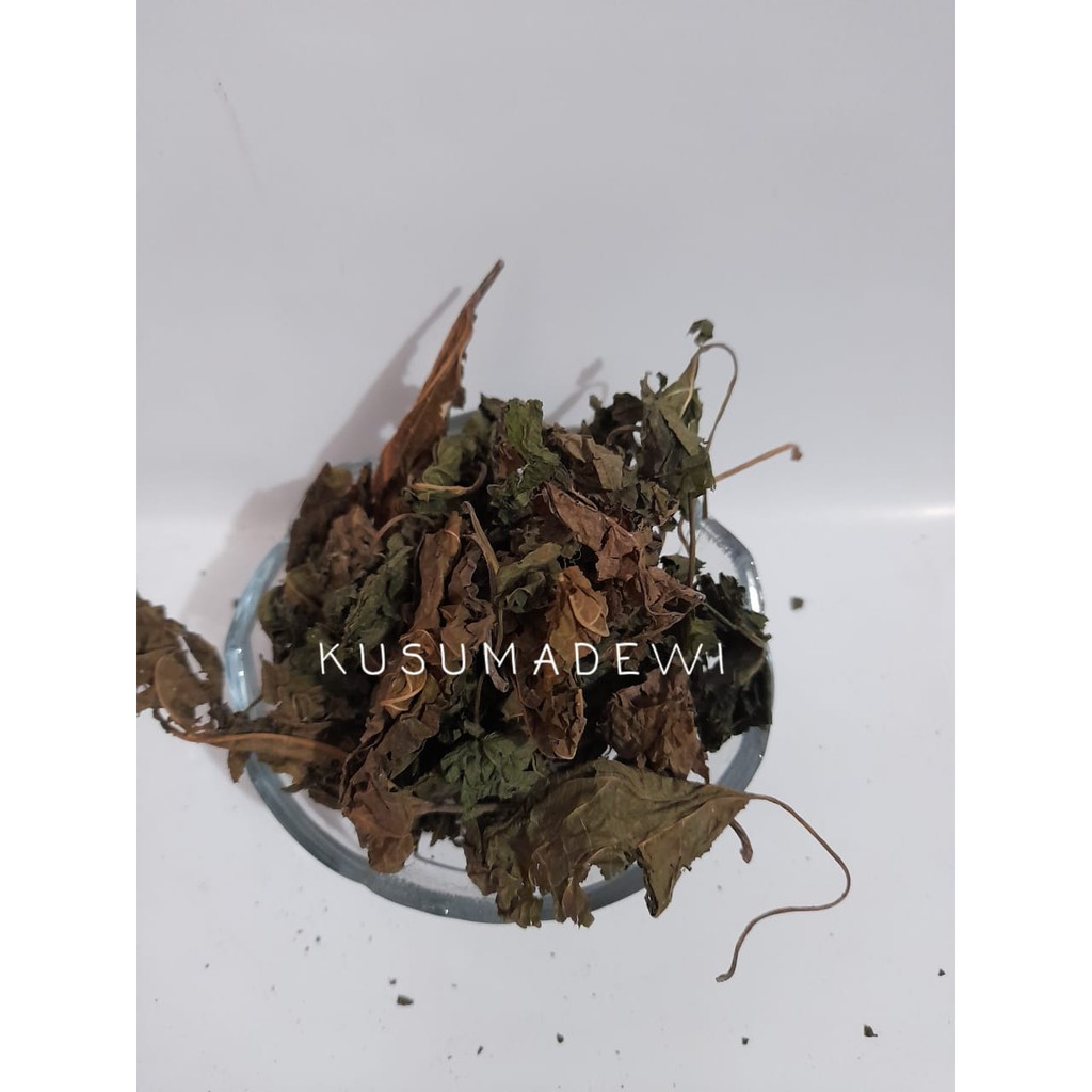 

Daun Murbei Kering / Sangya / Tuta 50 gr