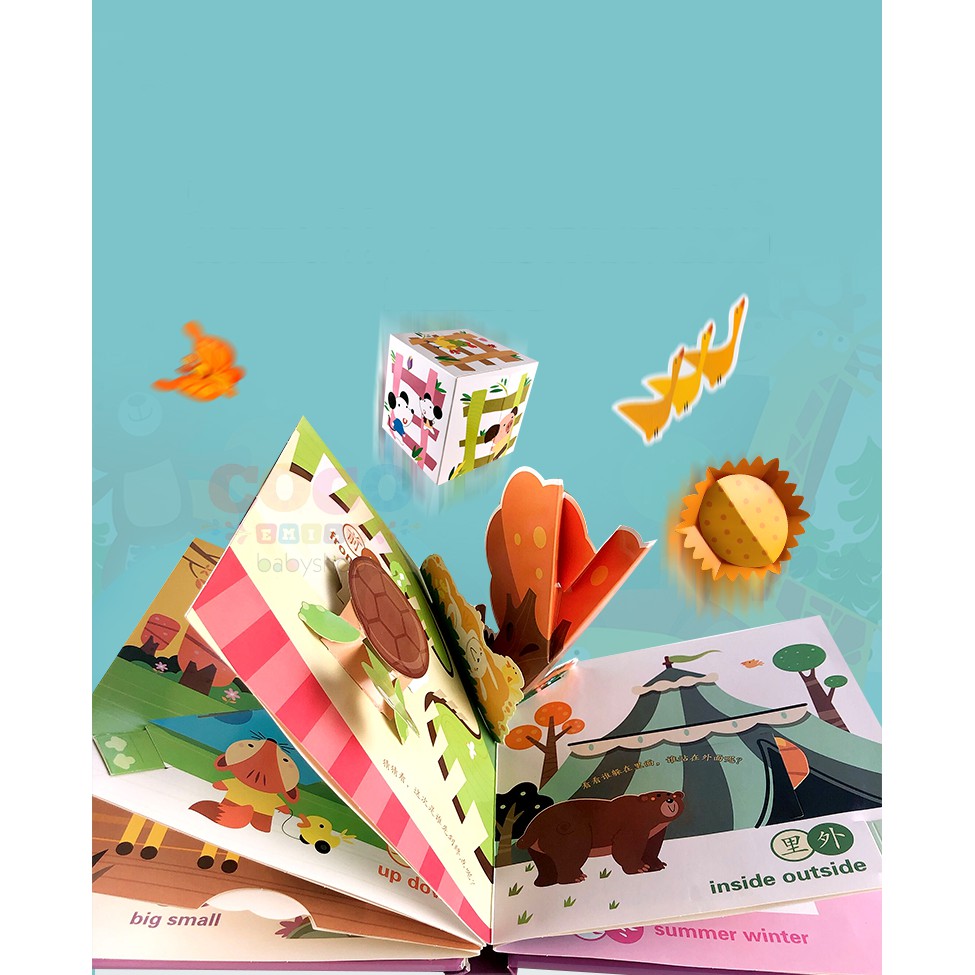 Pop Up 3D Push Pull Board Book English Mandarin Buku Anak 1 Ready