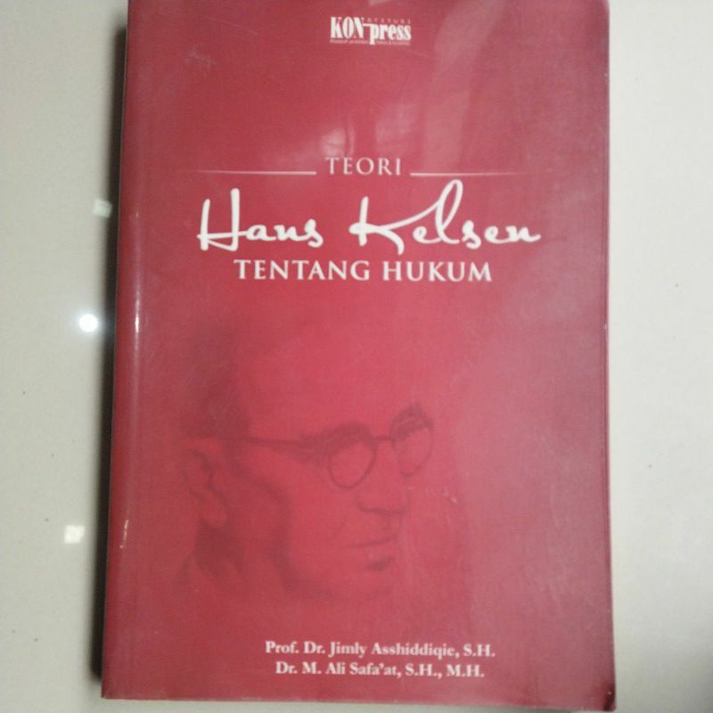 teori hans kelsen tentang hukum
