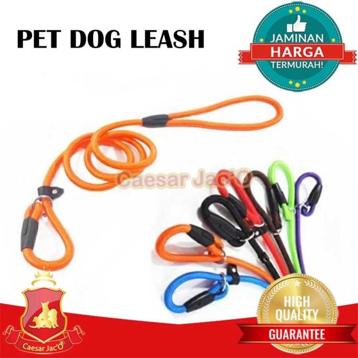 Tali Tuntun Kalung Anjing Hewan / Pet Dog Leash collar Cesar Milan