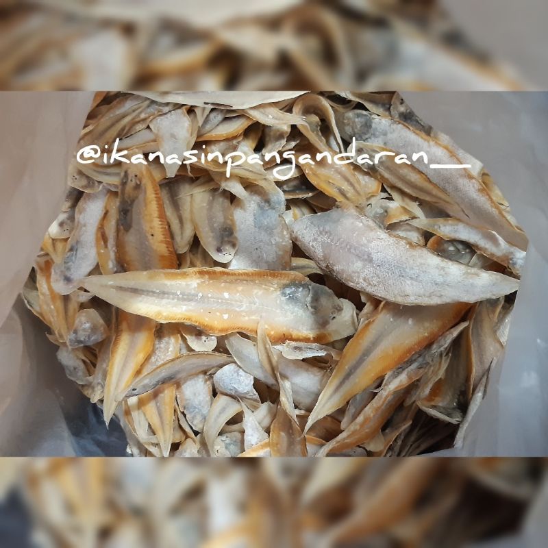 

IKAN ASIN LENDRA (IKAN SEBELAH) 200 GRAM ASLI PANGANDARAN
