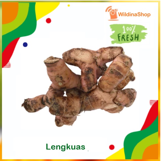 

Lengkuas /Laos Segar [ 500 gr ]