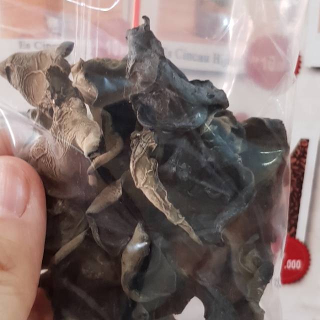 Jamur Kuping Kering (10Gram)
