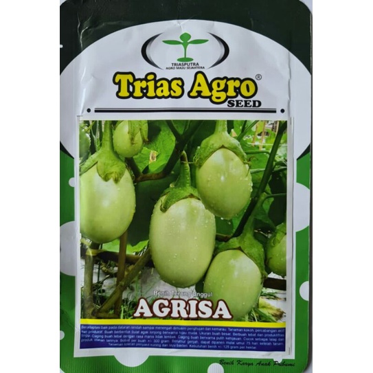 Bibit benih terong hijau AGRISA isi 10 gr