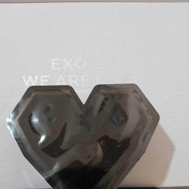 EXO L OFFICIAL welcome kit