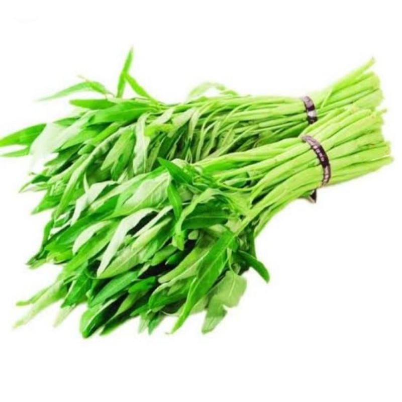 

KANGKUNG SEGAR 1IKAT