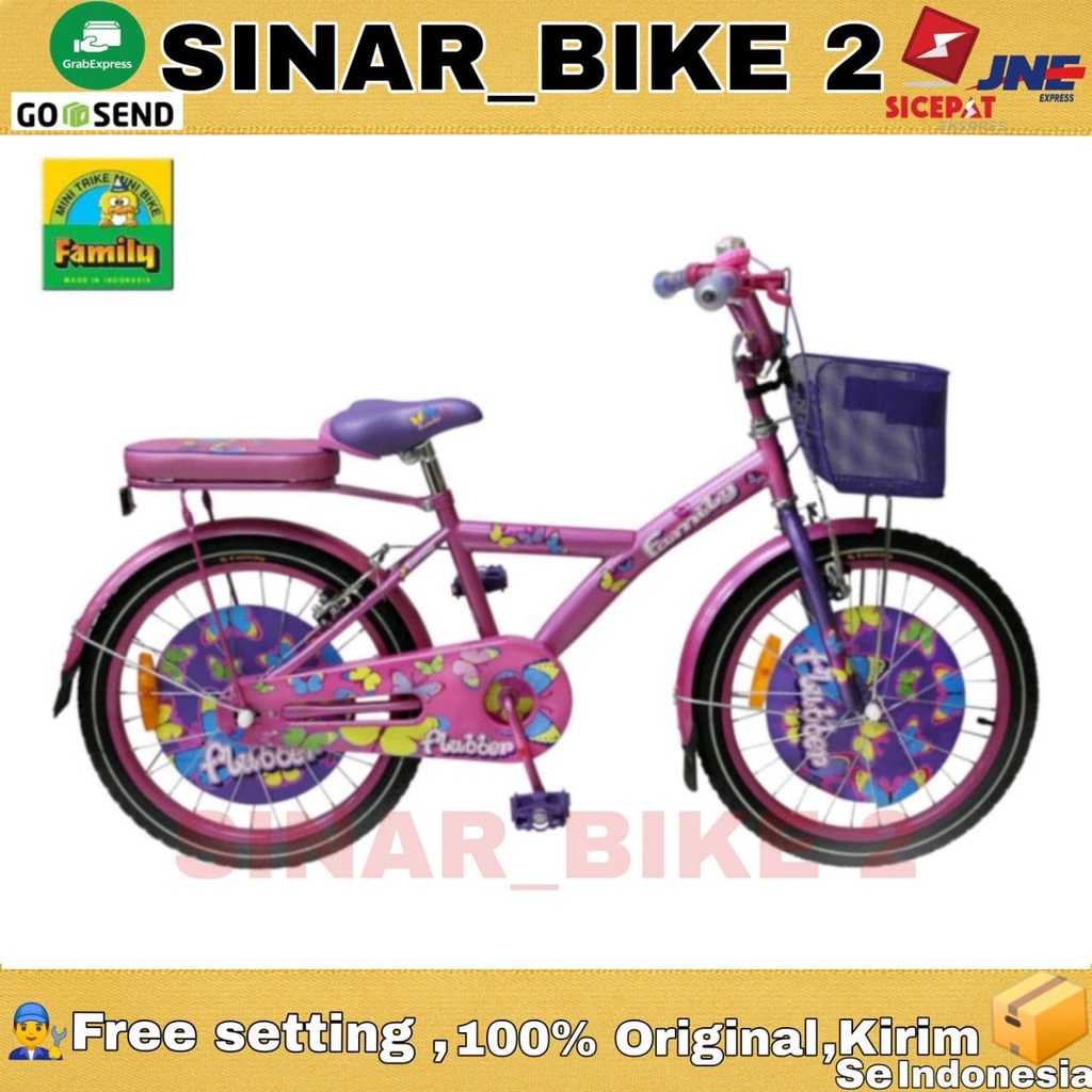 Sepeda CTB Family Flubber 20 Inch Low-Step Frame City Bike