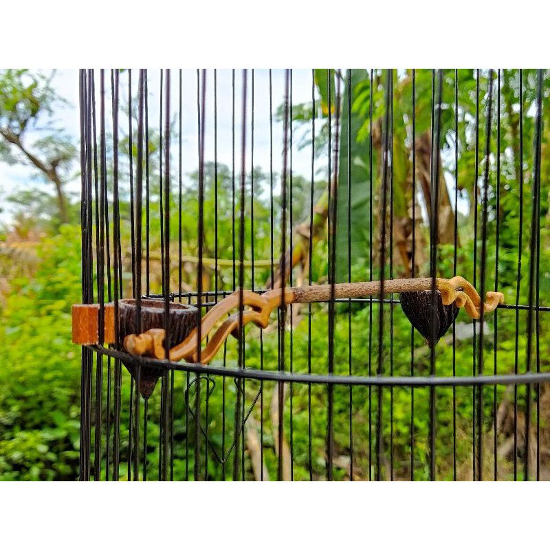 Tangkringan Burung pleci holopet D 23cm kayu asem Bali variasi kayu jati