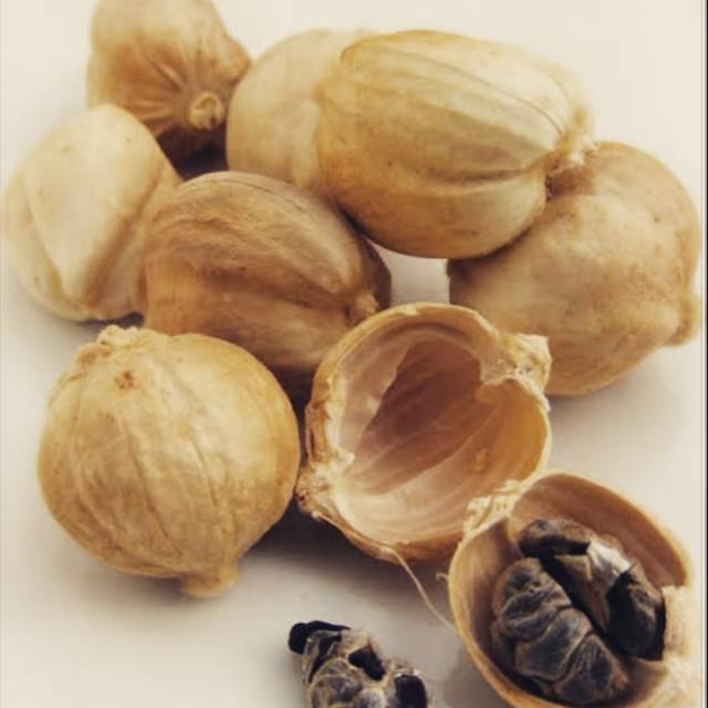 

Rempah kapulaga 1 kg langsung dari petani,di jamin 100% asli,urah dan berkwalitas.