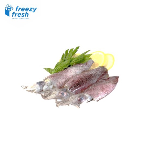 

Freezy Fresh Cumi Baby 8-12cm