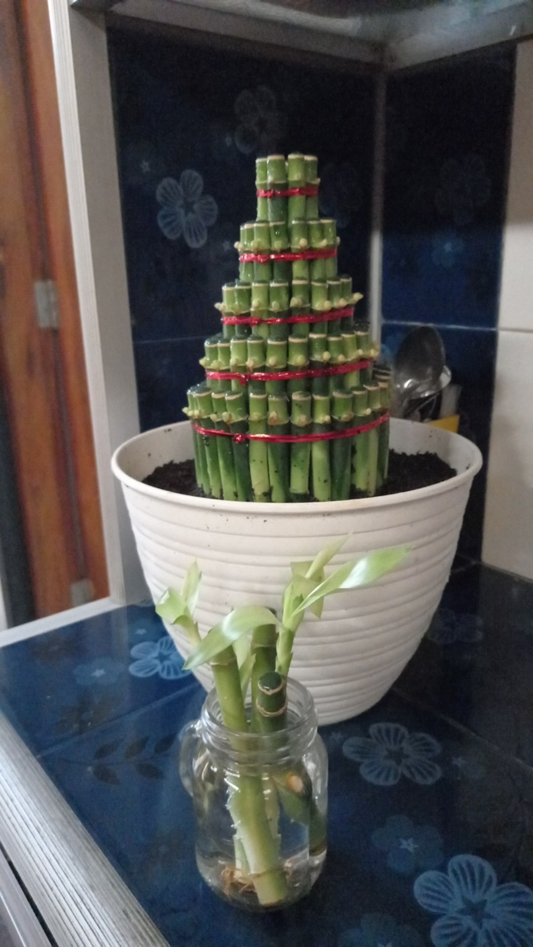 Bambu Hoki / Bambu Rejeki Model Pagoda Susun 5 Paling Murah