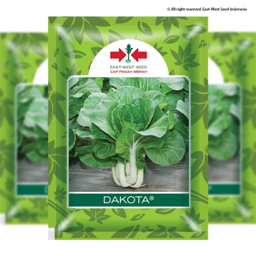 BENIH SAWI DAKOTA REPACK 100 BIJI