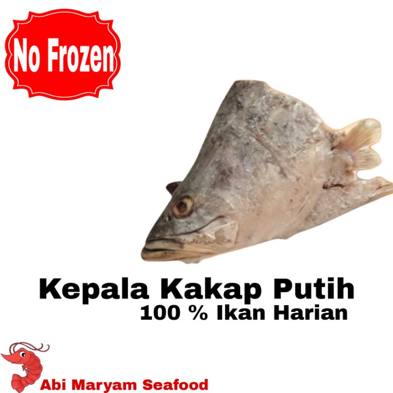 

Kepala Ikan Kakap Putih Fresh Berkualitas 1kg