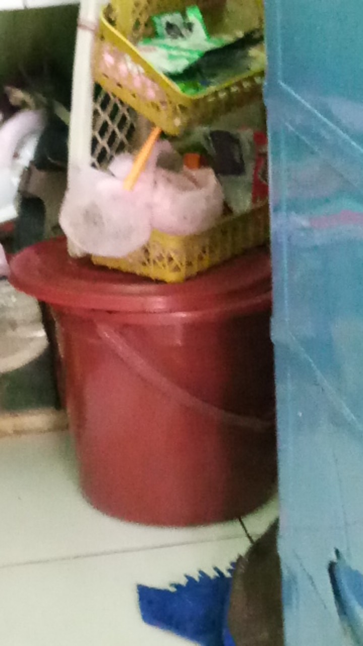 (ojol Only) Tanaka - Ember Plastik No 2 - 6 Galon / 23 L Liter 7 8 9 10 18 19 20 21 22 24 25