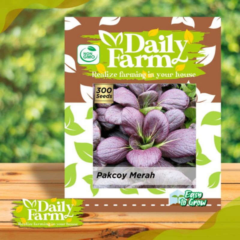 Benih Pakcoy Ungu/Pakcoy Merah
