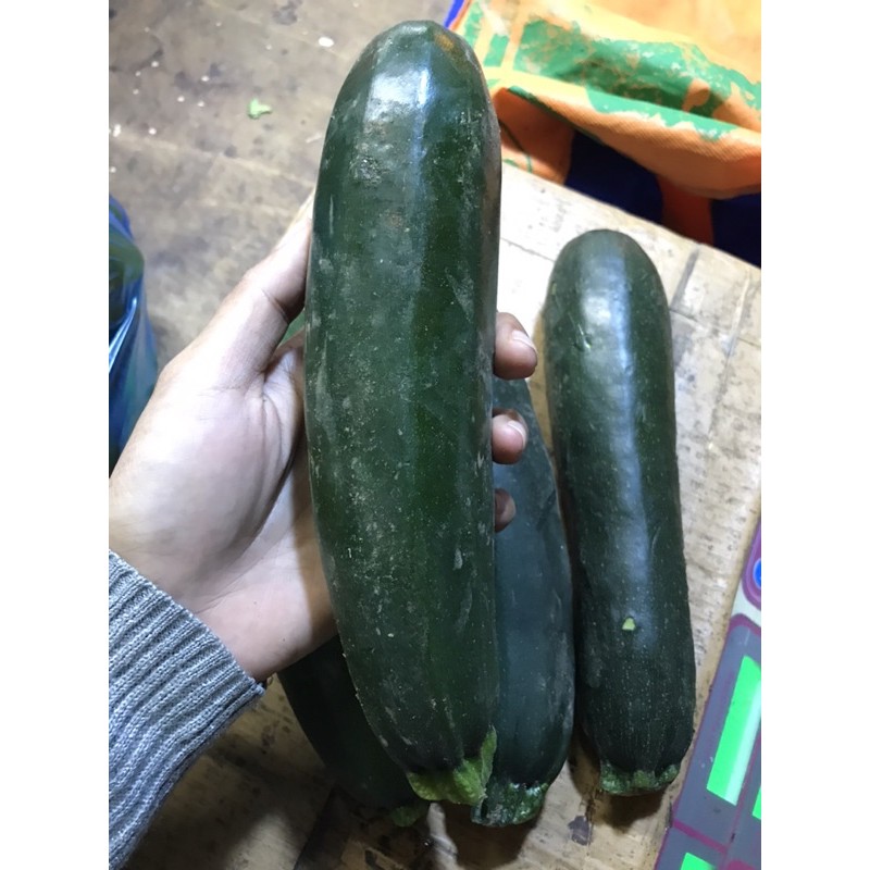 

zuchinni