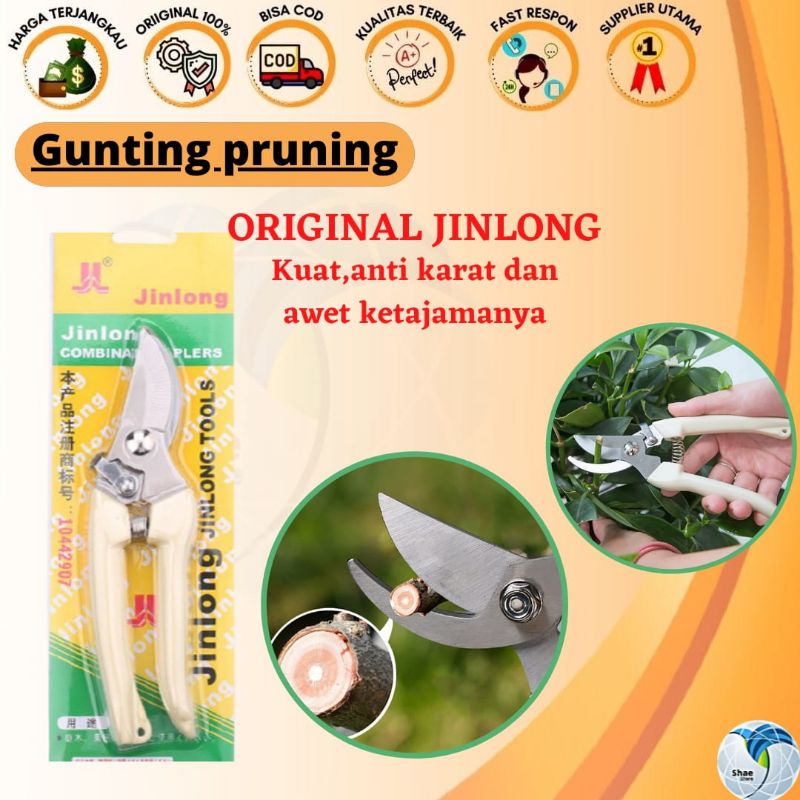 

GUNTING DAHAN RANTING BUAH JINLONG PREMIUM TAJAM MURAH