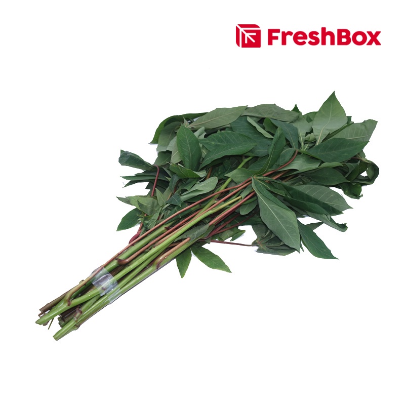 

Daun Singkong 250 gr FreshBox