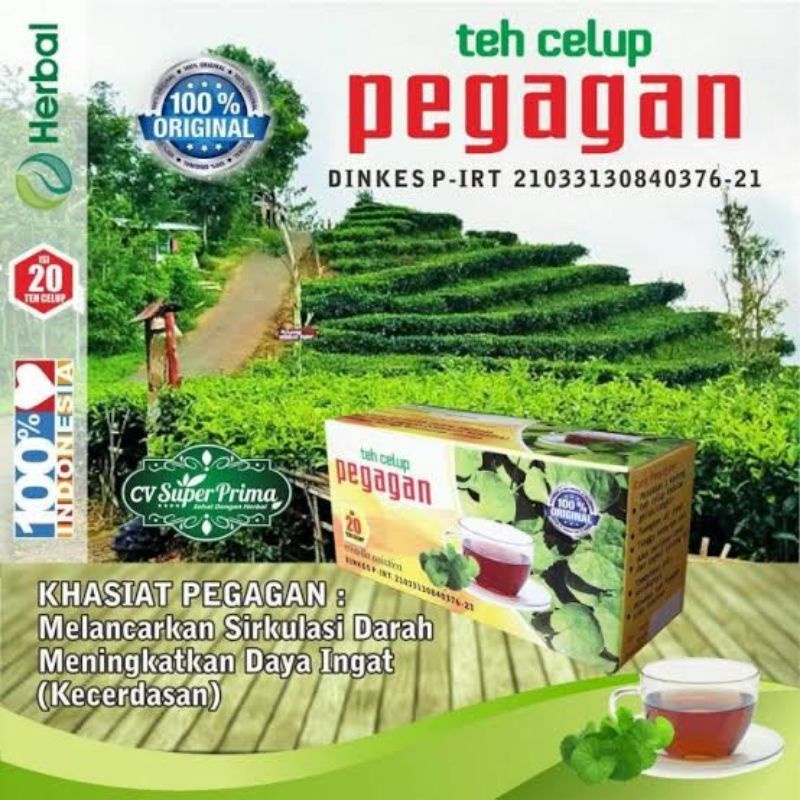 

Teh Celup Herbal Daun pegagan Meningkatkan Daya Ingat