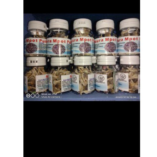 Empot Madura  empot putih