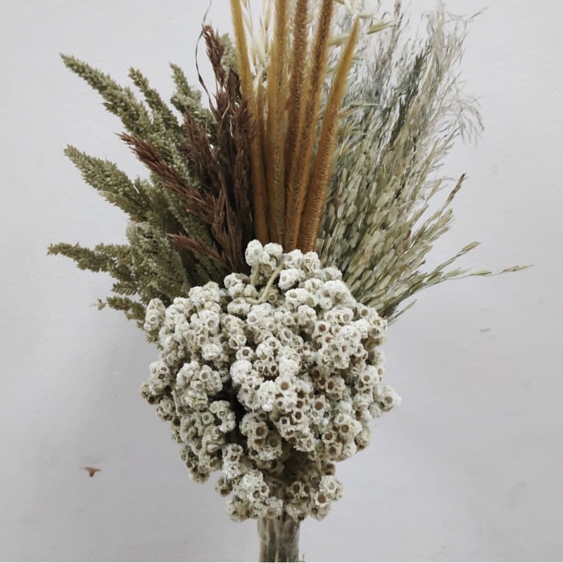 buket ilalang dried flower bunga kering (buket ilalang edel)