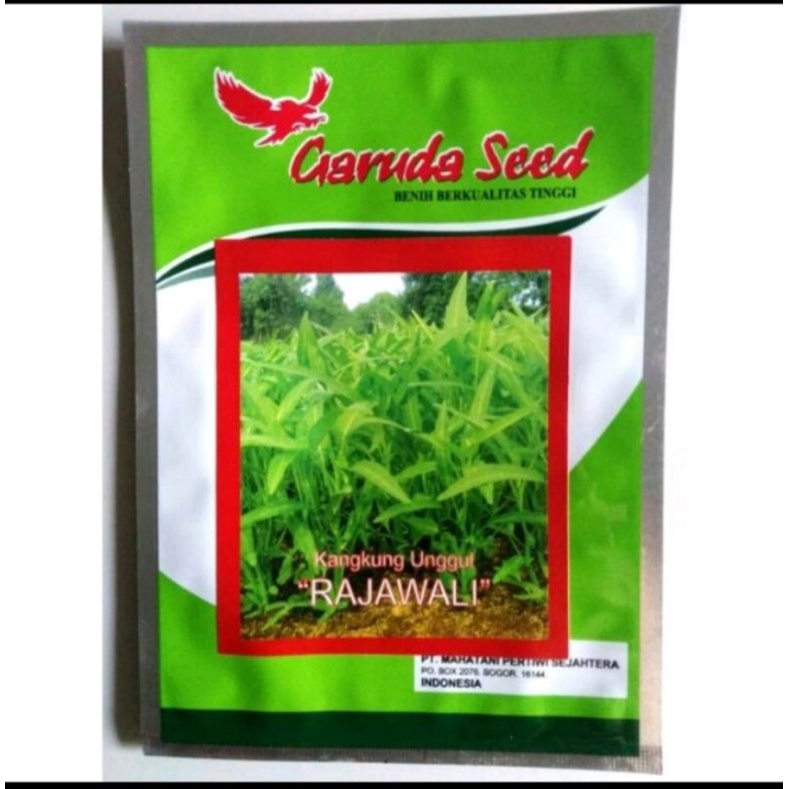benih bibit sayuran kangkung rajawali