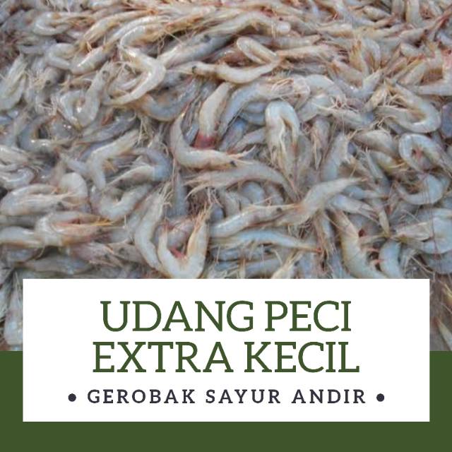 

UDANG PECI EXTRA KECIL