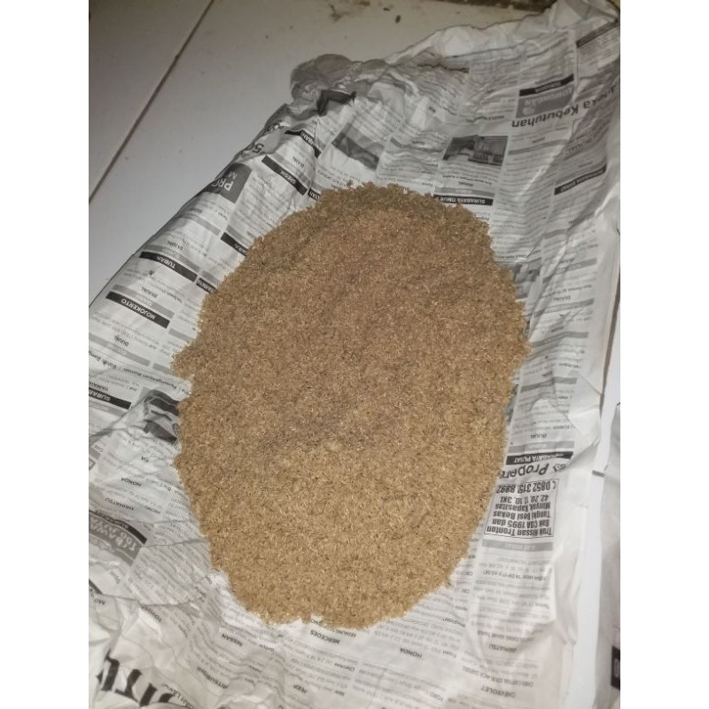 telur jangkrik kalung