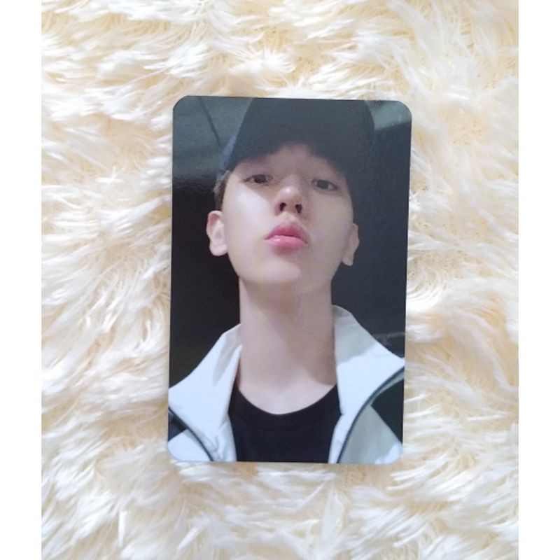BAEKHYUN DELIGHT KIHNO MINT PHOTOCARD PC
